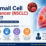 How Is Non-Small Cell Lung Cancer (NSCLC) Treated A Complete Guide