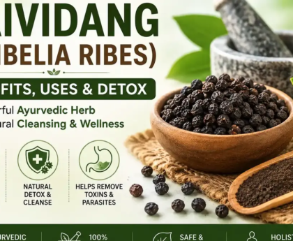 Vaividang (Embelia Ribes) Benefits, Uses & Detox