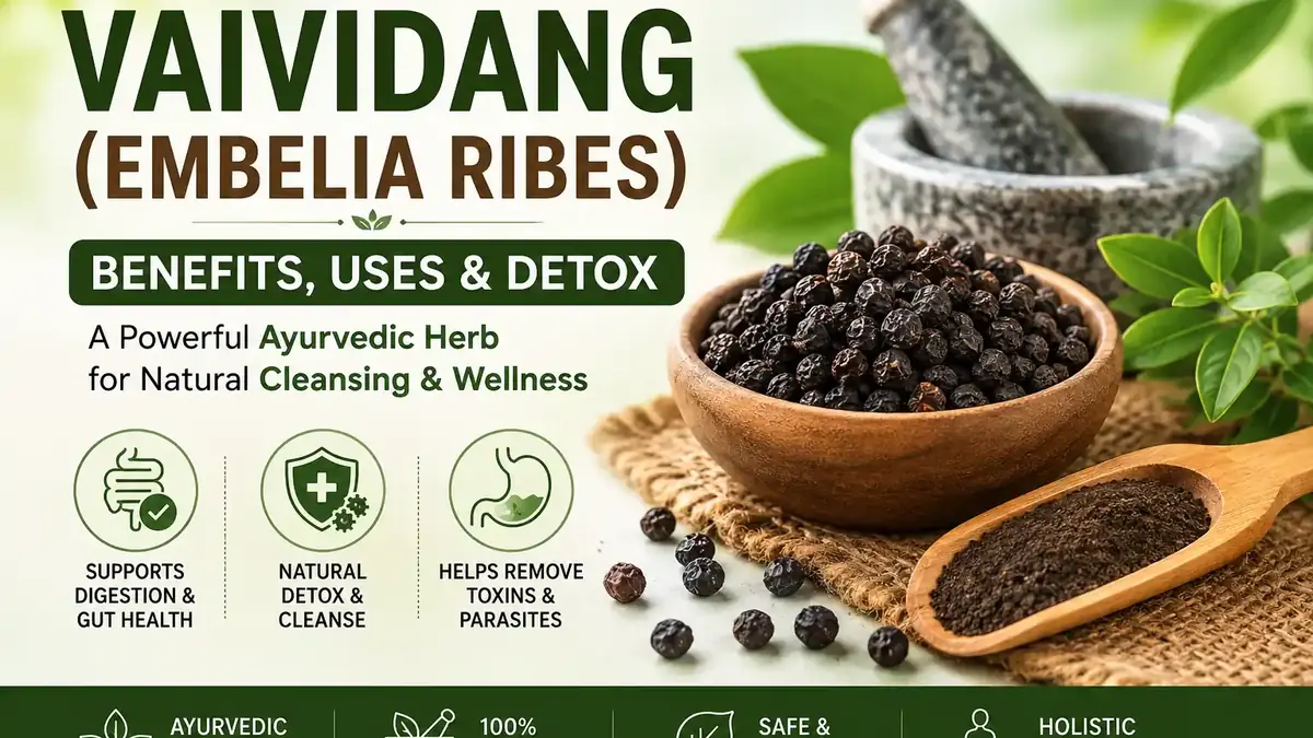 Vaividang (Embelia Ribes) Benefits, Uses & Detox